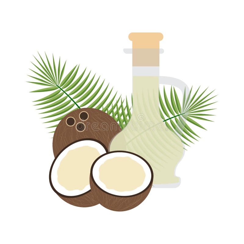 Coconut Organic Oil in Glass Bottle Vector Illustration Stock Vector ...