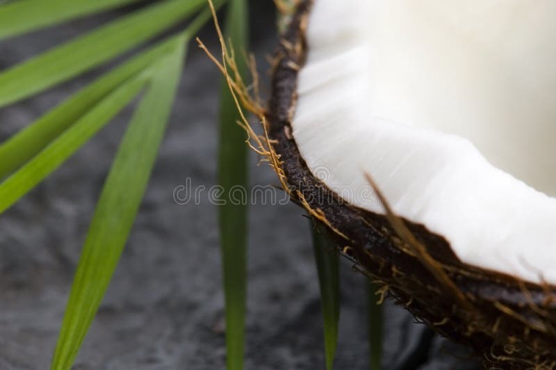Coconut, Oil and Palm Leaf. Exotic Scene Stock Photo Image of care