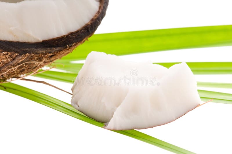 Coconut, Oil and Palm Leaf. Exotic Scene Stock Photo Image of care