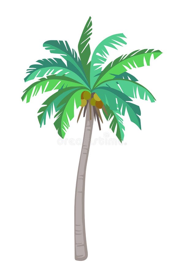 Coconut palm tree stock vector. Illustration of tree 94527101