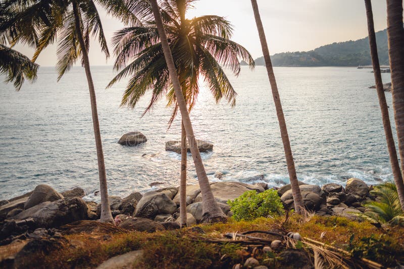 Tropical Island,coconut and Palm Trees by the Sea on the Island Stock ...