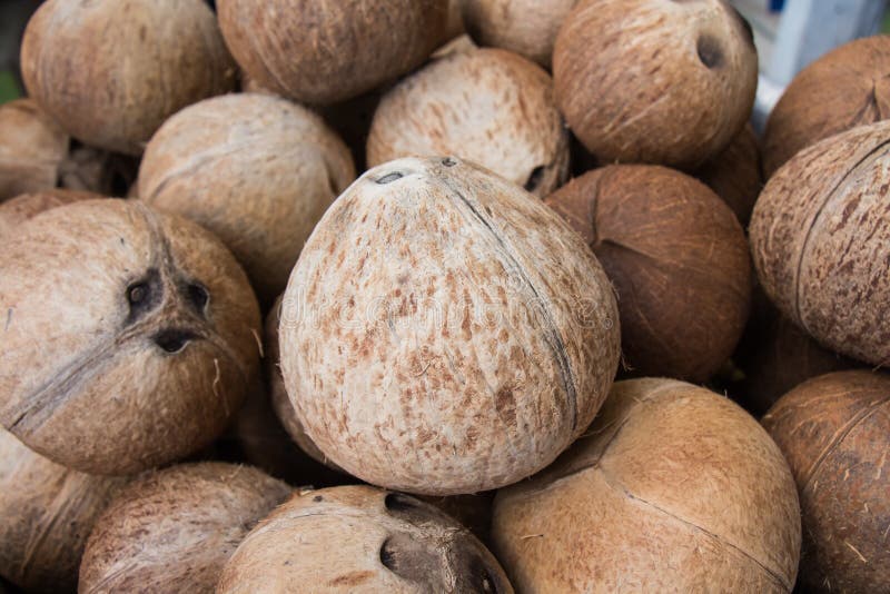 Coconut peel stock image. Image of coconut, peel, thailand 106369331