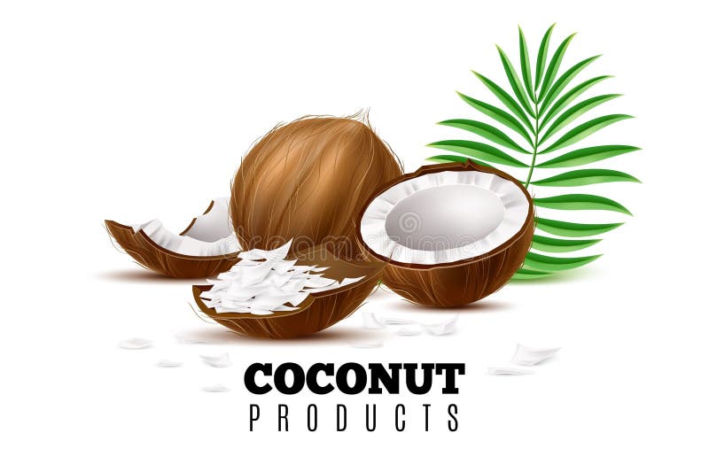 Produse din nucă de cocos. jumătate întreg și bucăți de nuci. frunză de palmier verde. proiectarea ambalajelor alimentare și a pro stock illustration
