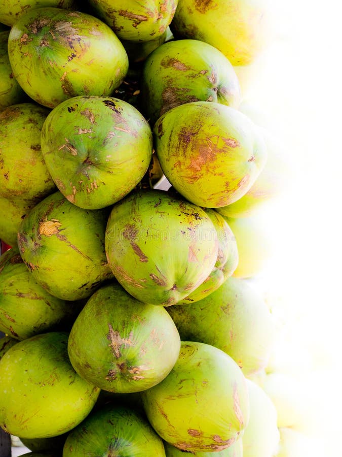Coconut for Sale in a Square in the City of Paraty, Rio De Janeiro