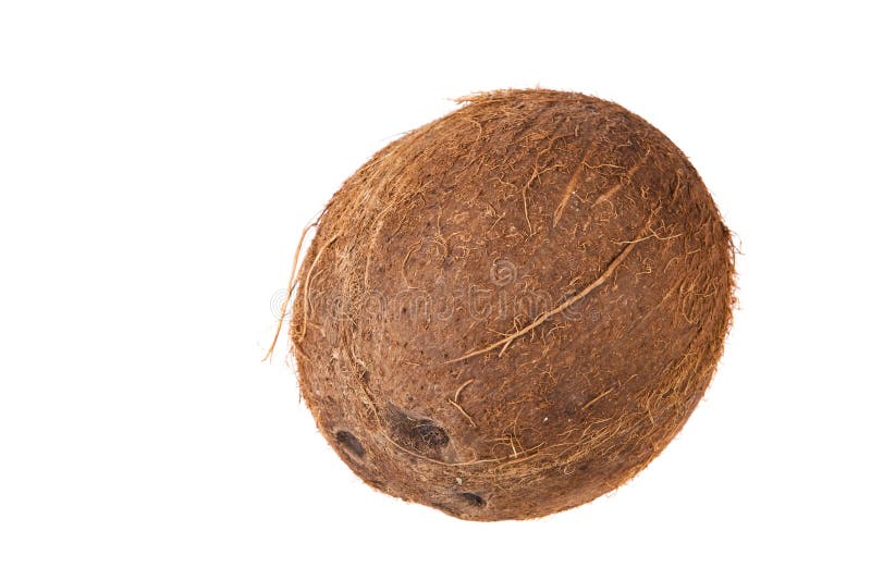 Coconut seed stock photo. Image of seed, object, concept 4852850