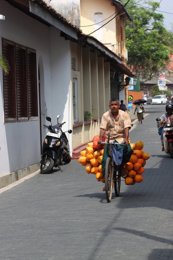 Coconut seller royalty free stock image