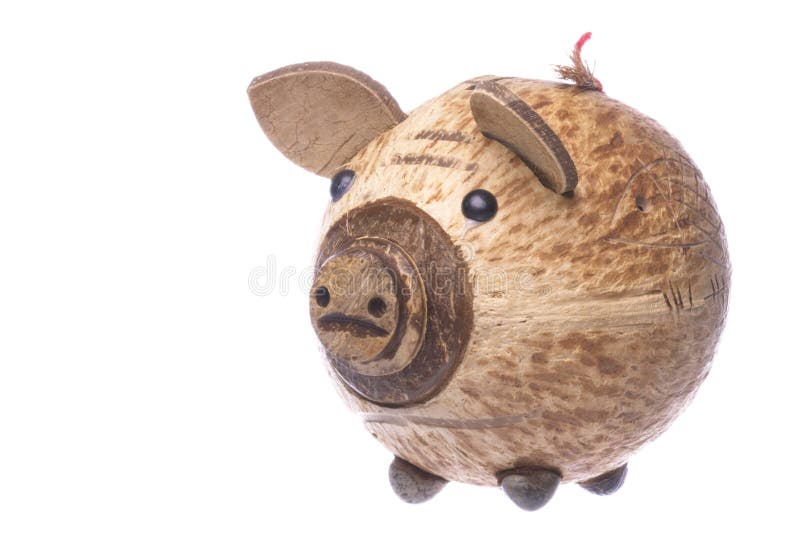 Coconut Shell Piggy Bank Isolated