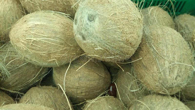 Coconut, close-up, background royalty free stock photo Coconut, close-up, background royalty free stock photo