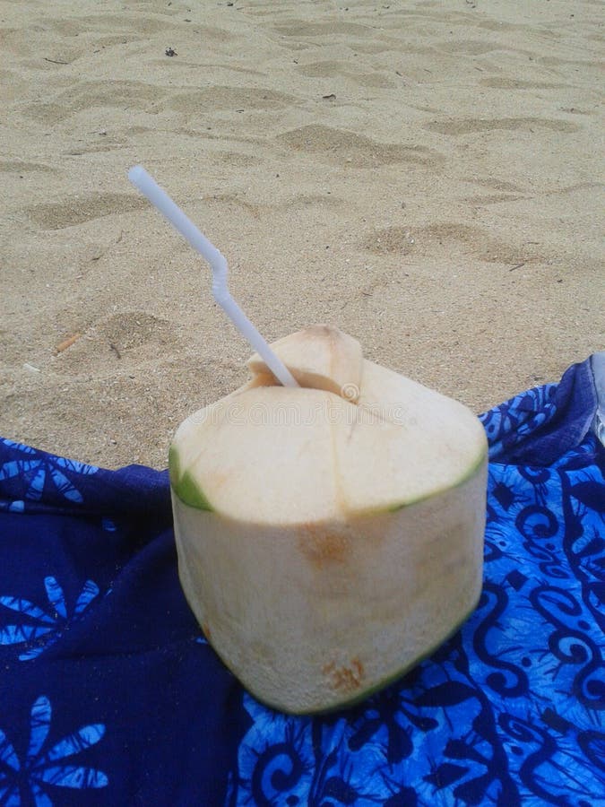 Coconut on the Beach in Koh Phangan Stock Image Image of island