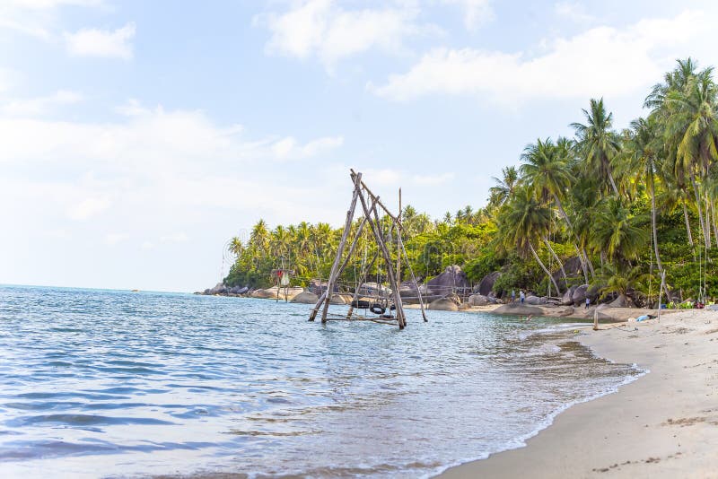 Coconut Tree at Coconut Beach on Son Island, Kien Giang, Vietnam. Near ...