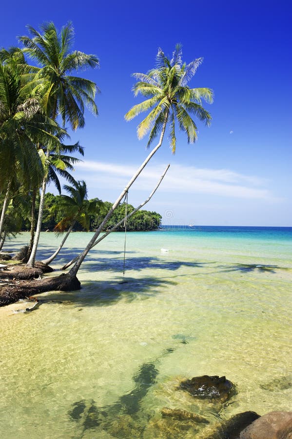 Swing Under Coconut Tree and Sea Stock Image - Image of navigate, coast ...