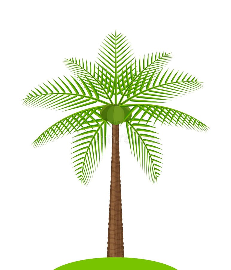 Palm Tree Clip Art Stock Illustrations 4 571 Palm Tree Clip Art Stock Illustrations Vectors Clipart Dreamstime Palm Tree Clip Art Stock Illustrations 4 571 Palm Tree Clip Art Stock Illustrations Vectors Clipart Dreamstime