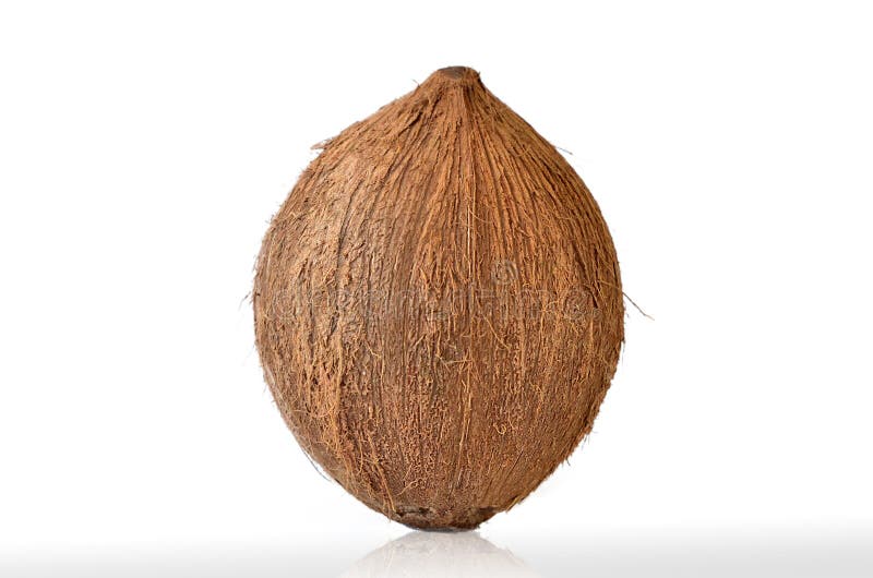 Coconut Tropical Fruit stock image. Image of botanic 30398789