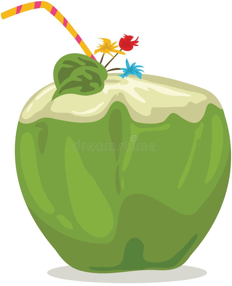 Coconut Drink Drawing Stock Illustrations 2,275 Coconut Drink Drawing
