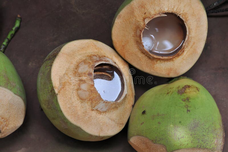 Coconut, Coconut Water, Group of Coconuts, Tasty Tropical Fruit, Fly