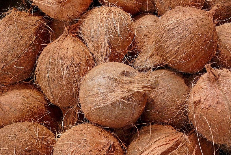 Bueno Coconut Stock Photos - Free & Royalty-Free Stock Photos from  Dreamstime