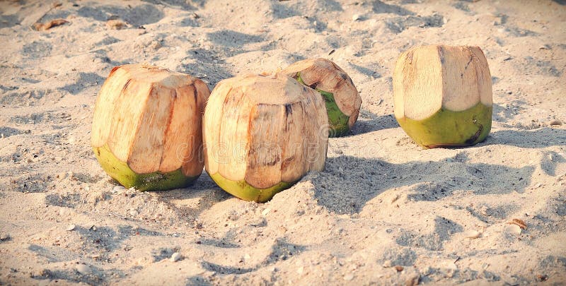 Coconuts on the beach