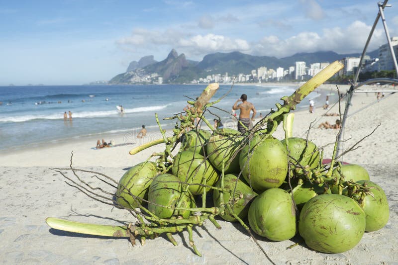 Coconuts Ipanema Beach Rio de Janeiro Brazil