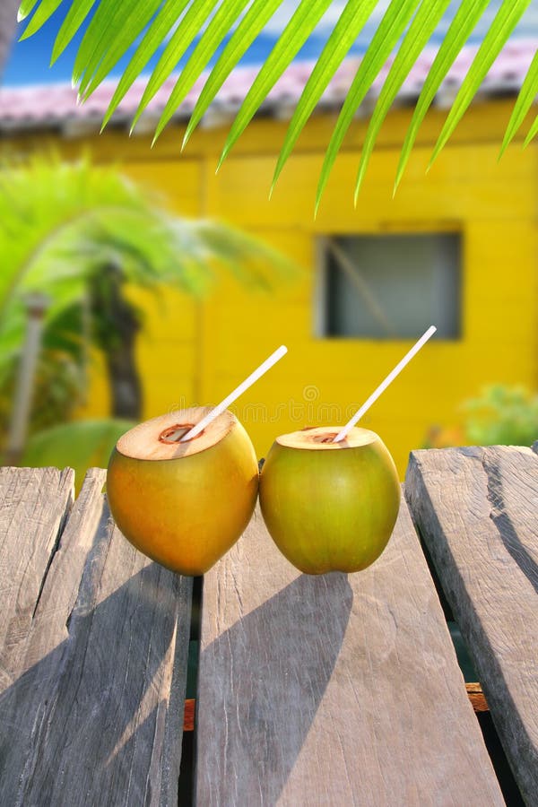 Coconuts straw cocktail tropica yellow house