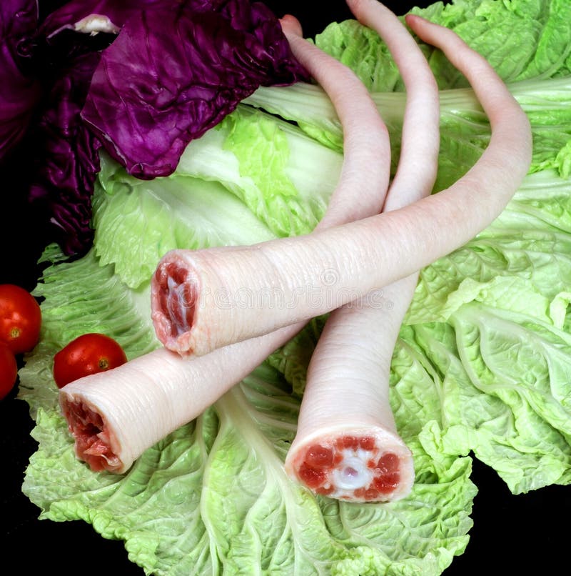 Sudwind450fu Camper Roulotte Usato 12297194 Su - Foto 4