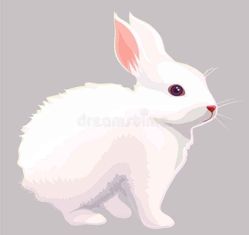 Coelho branco ilustração do vetor Coelho branco ilustração do vetor