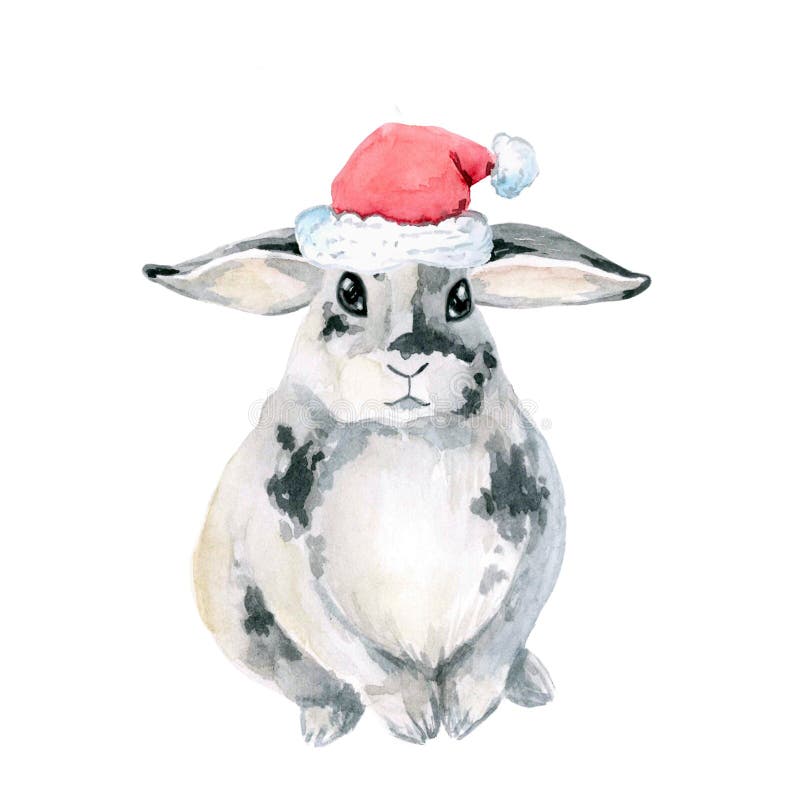 Coelho manchado cinza, sentando-se A aquarela é isolada no fundo branco Natal, ano novo Tampão de Santa ilustração stock Coelho manchado cinza, sentando-se A aquarela é isolada no fundo branco Natal, ano novo Tampão de Santa ilustração stock
