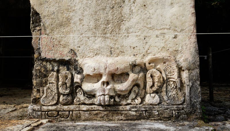 So-called rabbit engraving in Palenque archaeological site, one of the biggest for ancient Maya. So-called rabbit engraving in Palenque archaeological site, one of the biggest for ancient Maya