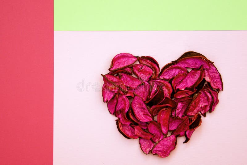 Coeur abstrait fait de pétales secs sur le fond géométrique coloré image libre de droits Coeur abstrait fait de pétales secs sur le fond géométrique coloré image libre de droits
