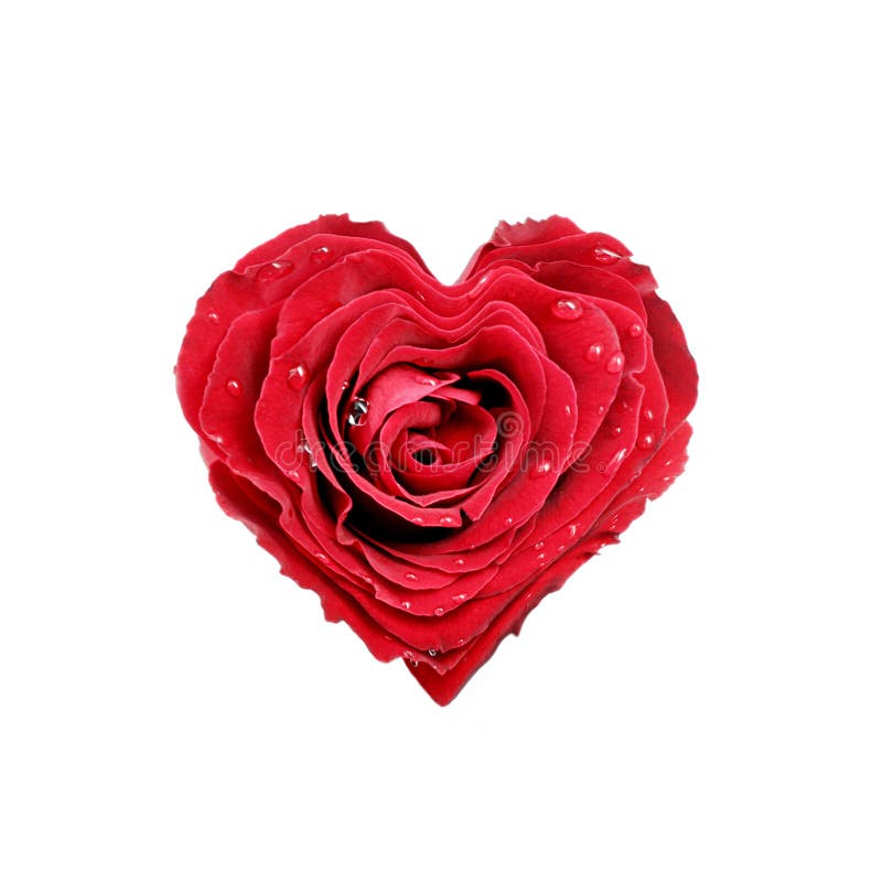Coeur de Rose images libres de droits Coeur de Rose images libres de droits