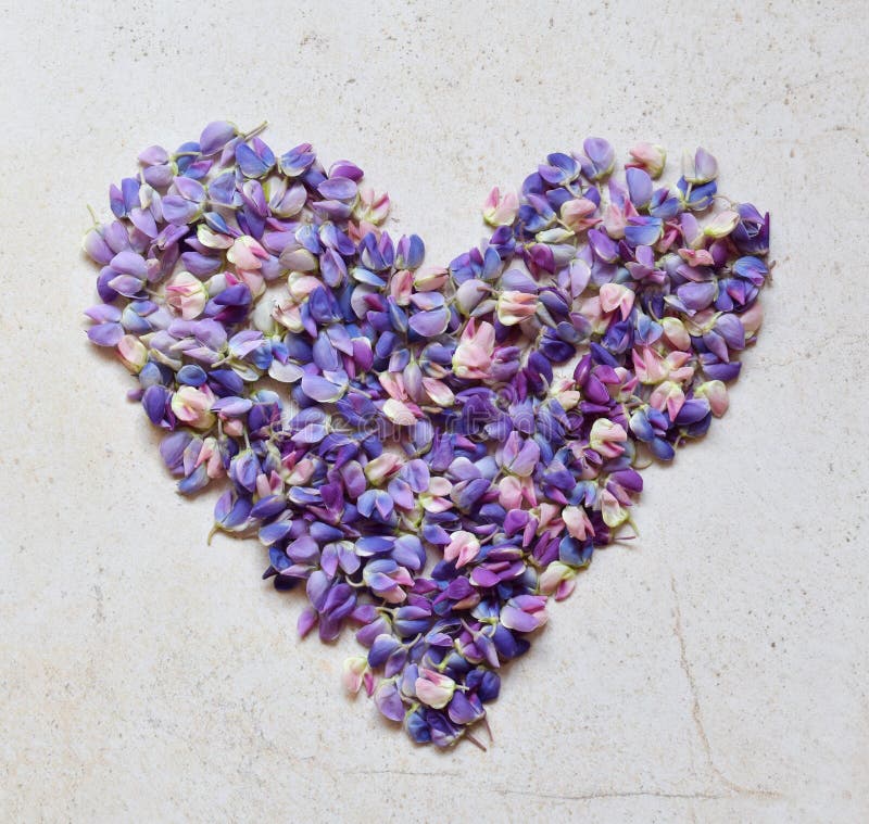 Coeur de rose et de fleurs de loup pourpres Jour du ` s d'anniversaire, de mère, jour de ` s de Valentine, carte le 8 mars, de ma image stock