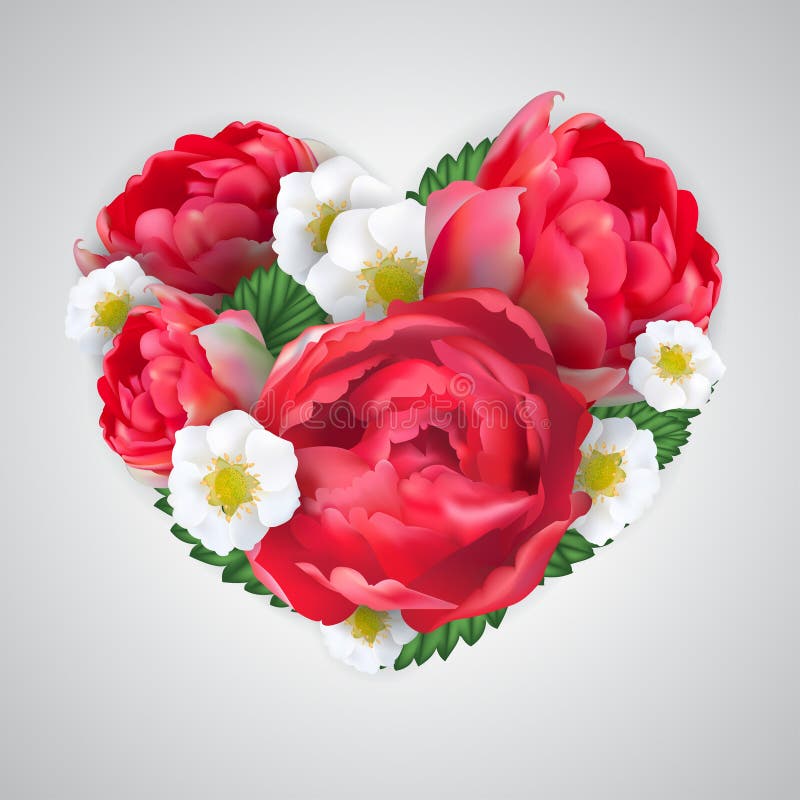 Coeur de vecteur des fleurs roses de pivoine rouge réaliste illustration libre de droits Coeur de vecteur des fleurs roses de pivoine rouge réaliste illustration libre de droits