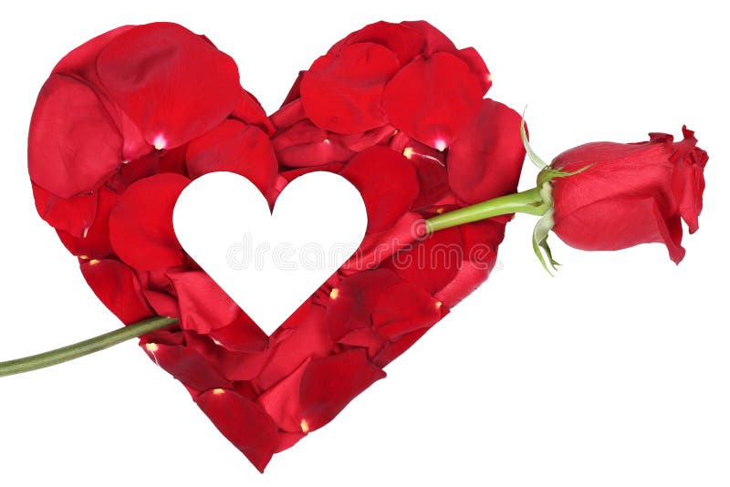 Coeur De Rose De Rouge Des Pétales Sur Valentine Et Jour De Mères Avec B  Photo stock - Image du coeur, amour: 48497314