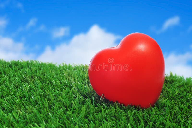 Coeur sur l'herbe photos libres de droits Coeur sur l'herbe photos libres de droits