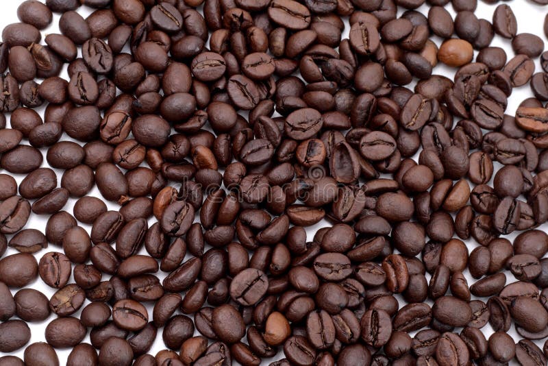 Cofee seed