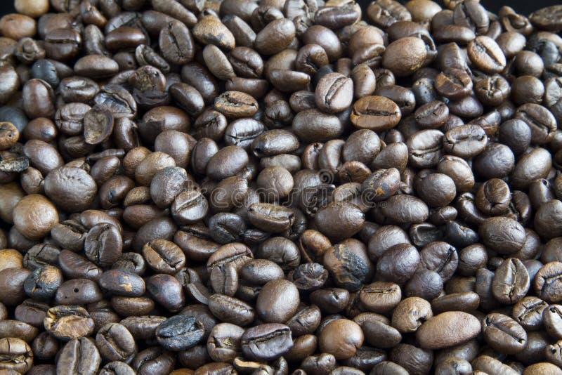 Fresh roasted coffee beans stock image. Image of seed 14488615
