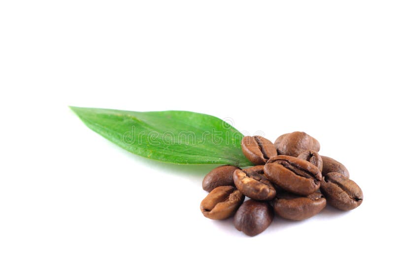 Coffee grains and coffe leaf