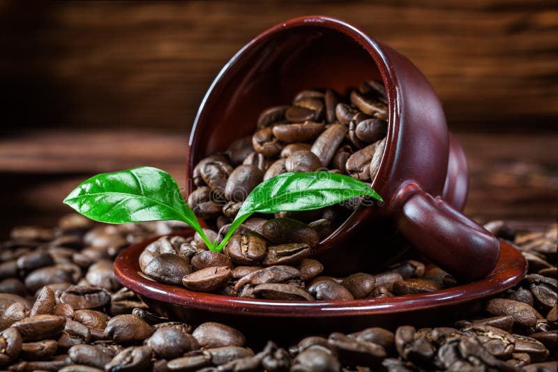 Coffe beans scattered from cup and leaves