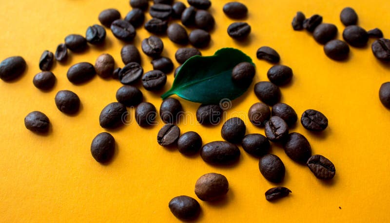 Coffe fasole i zielony liść obraz stock Coffe fasole i zielony liść obraz stock