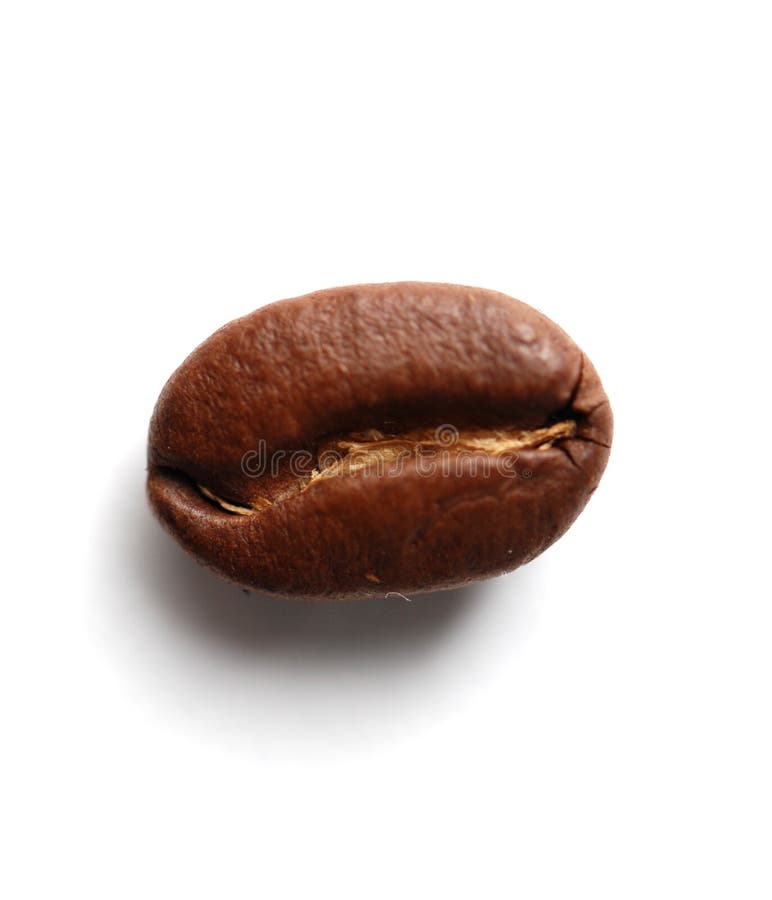 Coffee bean stock photo. Image of heap, coffee, aromatic 11455032