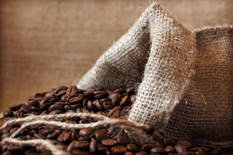Coffee bean royalty free stock photography Coffee bean royalty free stock photography