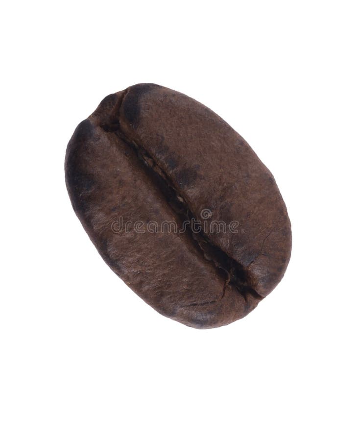 Coffee bean