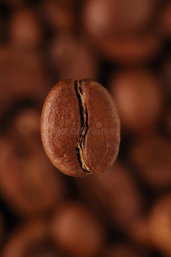 Chicco di caffè sopra il caffè in grani, verticale.