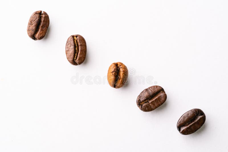 Coffee Bean Arabica and Robusta Stages of Roasting Light Roast, Medium