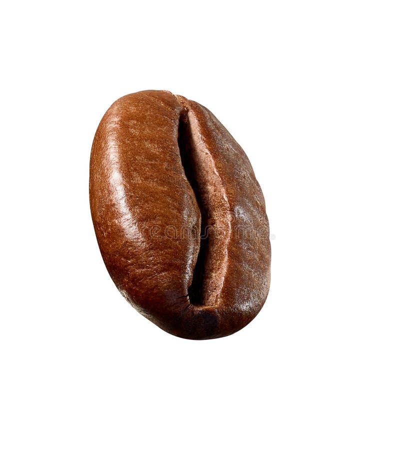 Coffee Bean Brown Roasted Caffeine Espresso Seed Stock Photo Image of