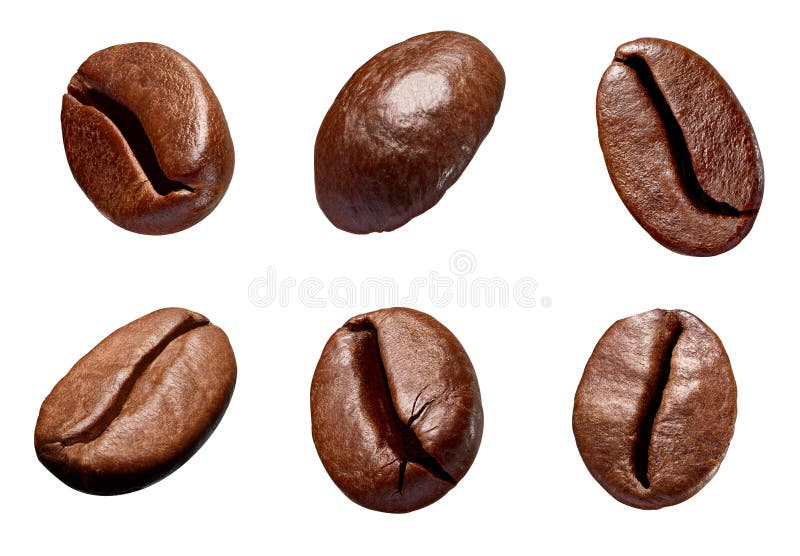 Coffee Bean Brown Roasted Caffeine Espresso Seed Stock Photo Image of