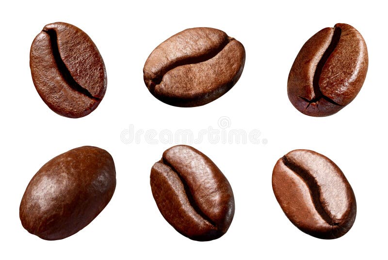 Coffee Bean Brown Roasted Caffeine Espresso Seed Stock Photo Image of