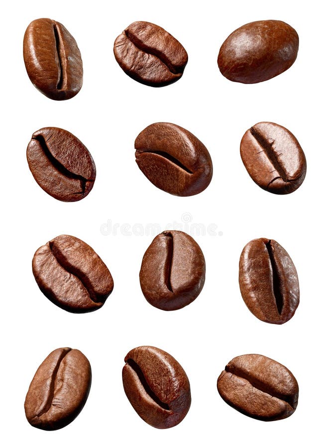 Coffee Bean Brown Roasted Caffeine Espresso Seed Stock Photo Image of