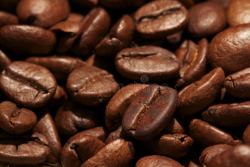 Coffee Bean For Coffee Shop Stock Image Image of black, barista 23414485