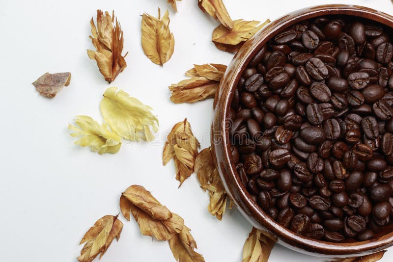 Coffee Bean with Dry Flower Stock Photo Image of food, mocha 95028236