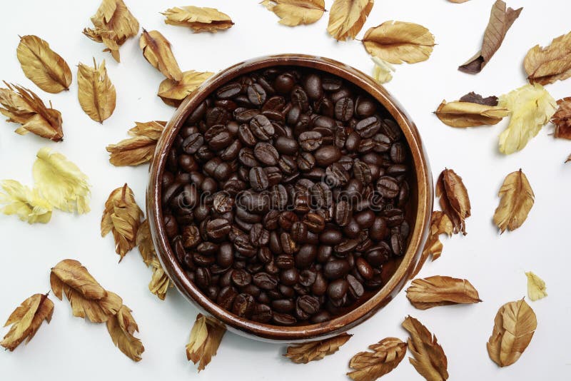 Coffee Bean with Dry Flower Stock Photo Image of food, mocha 95028236